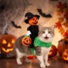 S984fa86715cb430d97d30dcdabe222f1D.webp Halloween Pumpkin Knight Pet Costume 3D Riding Horse Design Dog Cat Outfit